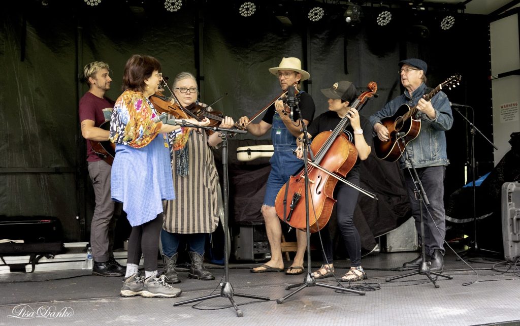 Folky Fish Festival, May 30 - 31, Maramec Spring Park. St. James MO. Bluegrass and Folk Music